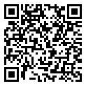 半英雄:空战RPG