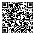 宫殿：月下灰姑娘